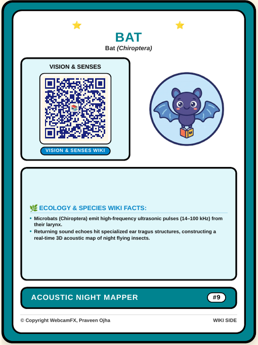 Little Brown Bat QR Card Back