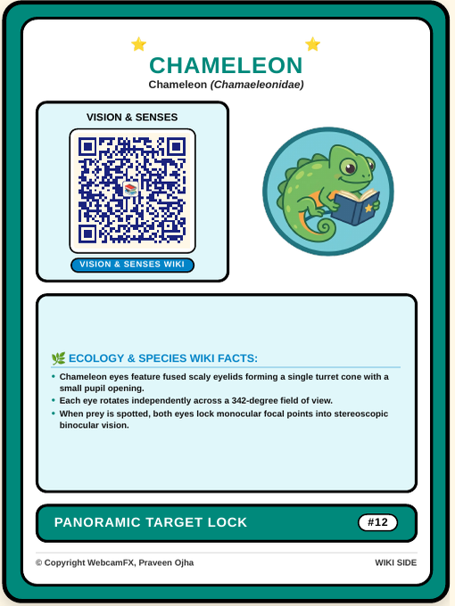 Panther Chameleon QR Card Back