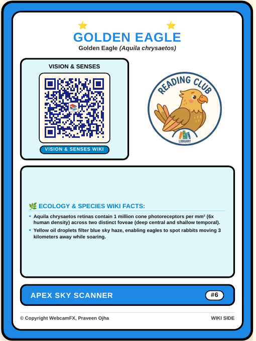 Golden Eagle QR Card Back