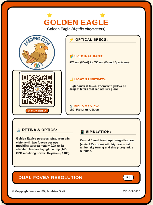 Golden Eagle QR Card Front